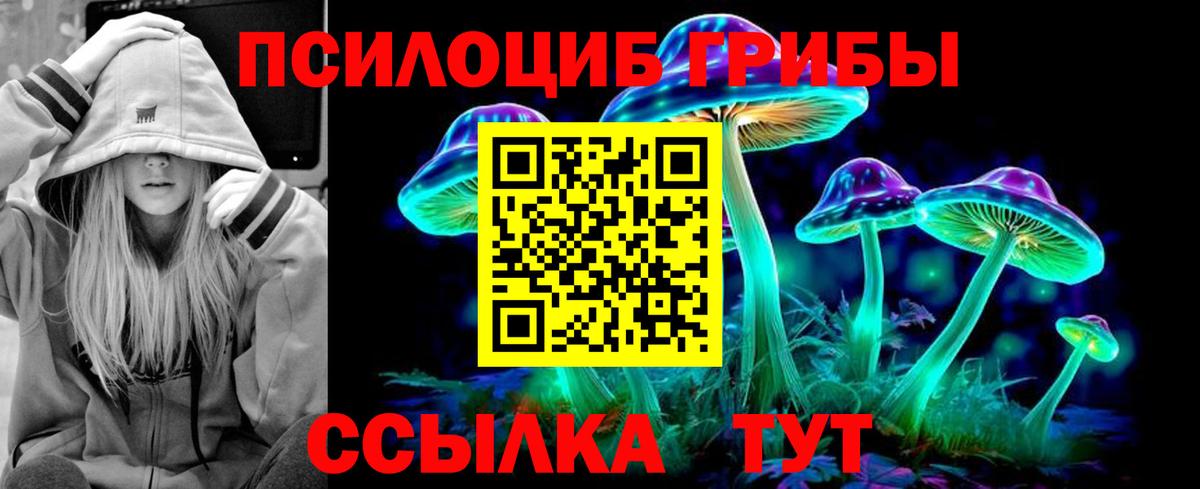 Галлюциногенные грибы GOLDEN TEACHER Люберцы